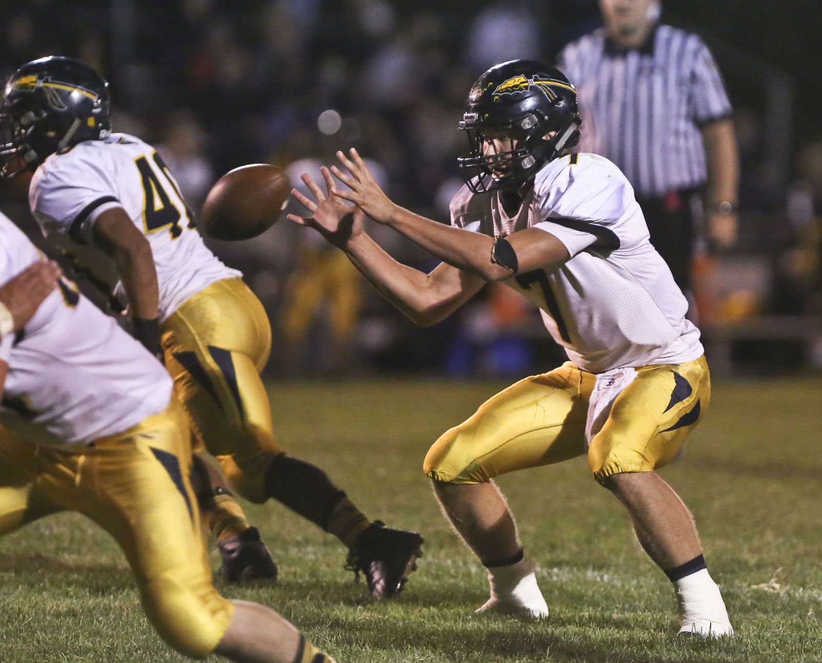 decgal Clinton Tuscola 58 09.21.18.JPG